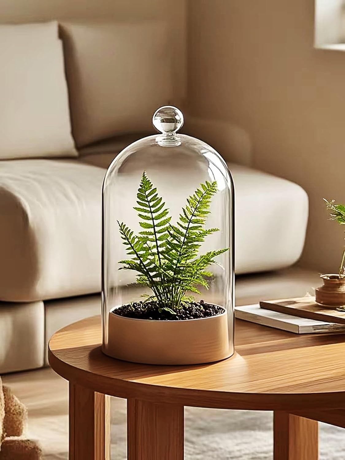 Handmade Glass Cloche, Thick & Sturdy, Dia 6"xH 12", For Terrarium, Plants, Trinkets, Cakes, Figurines, LED Light String, Candle. Cloche Glass Dome, Bell Jar Display Case (1, 6"x12")