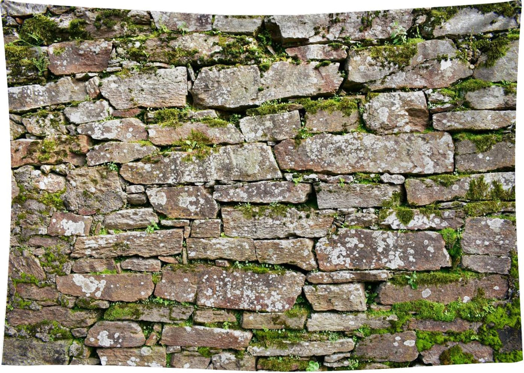 CapiSco Vintage Brick Stone Wall Backdrop 7x5FT Vintage Textured Stone Ancient Rock Wall Castle Wall Overgrown Wall Green Leaf Background Medieval Castle Mossy Stone Wall for Party Decorations