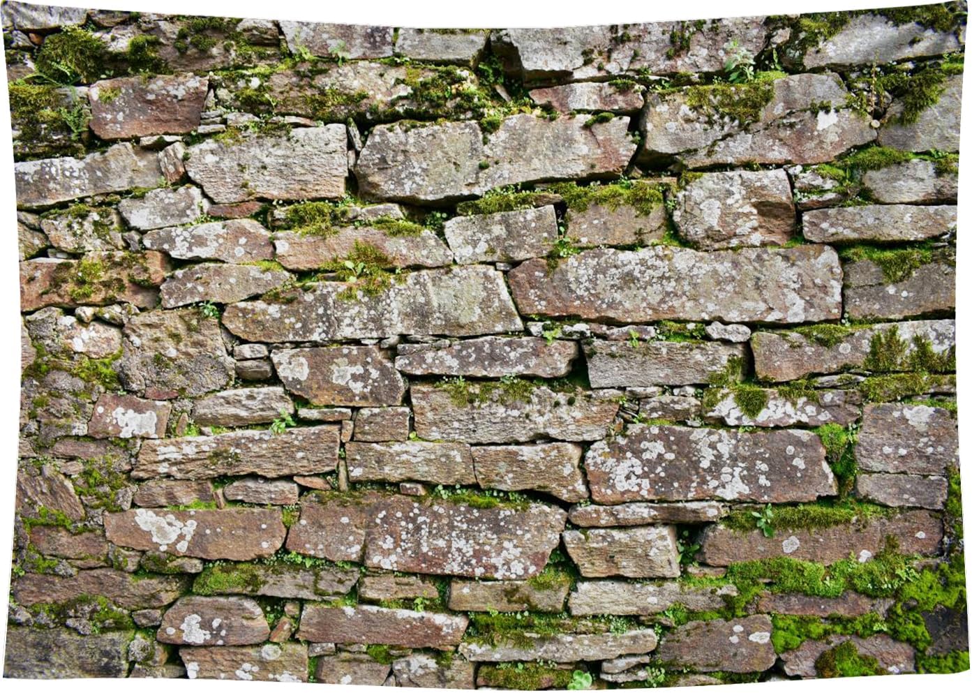 CapiSco Vintage Brick Stone Wall Backdrop 7x5FT Vintage Textured Stone Ancient Rock Wall Castle Wall Overgrown Wall Green Leaf Background Medieval Castle Mossy Stone Wall for Party Decorations