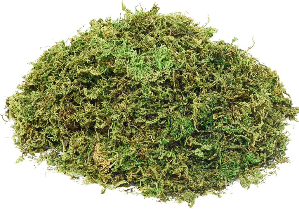 Fake Moss Artificial Moss for Potted Plants Greenery Moss(4OZ) Home Decor Fairy Garden Crafts Wedding Decoration (Fresh Green)