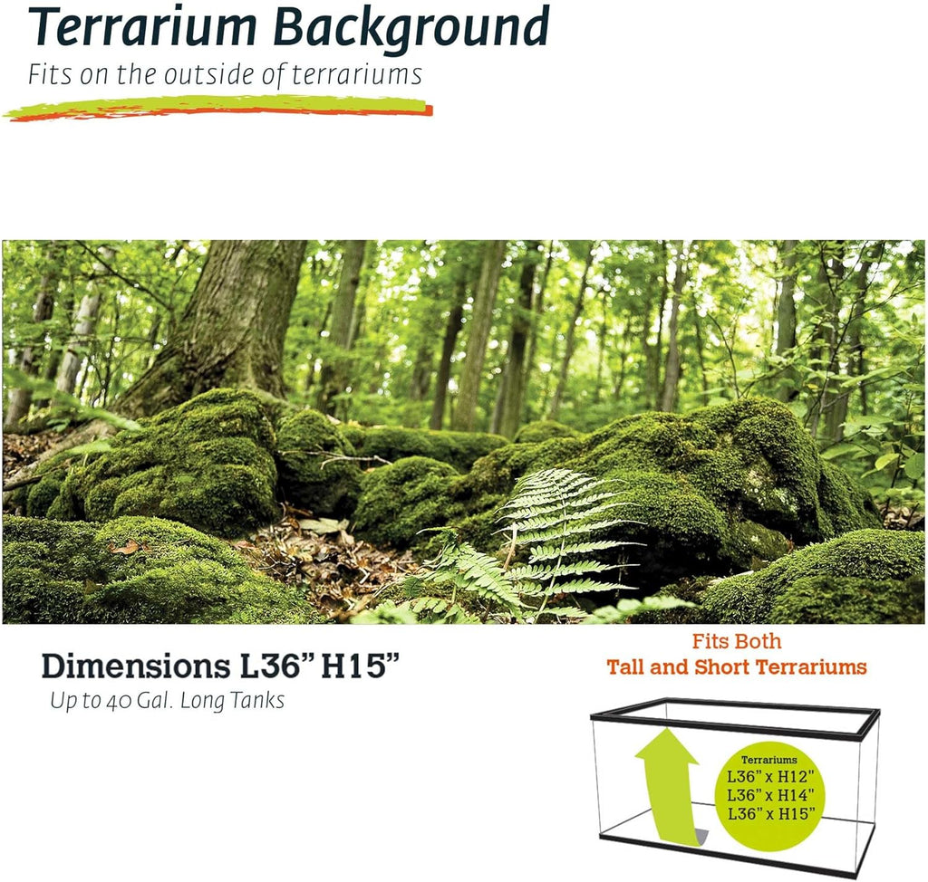 Galápagos (05421) Terrarium Cling | Hi-Resolution Aquarium & Reptile Tank Backdrop | Static Vinyl Clings for Bearded Dragon, Gecko, Turtle, Snake, and Lizard Enclosures, 15" x 36", Forest