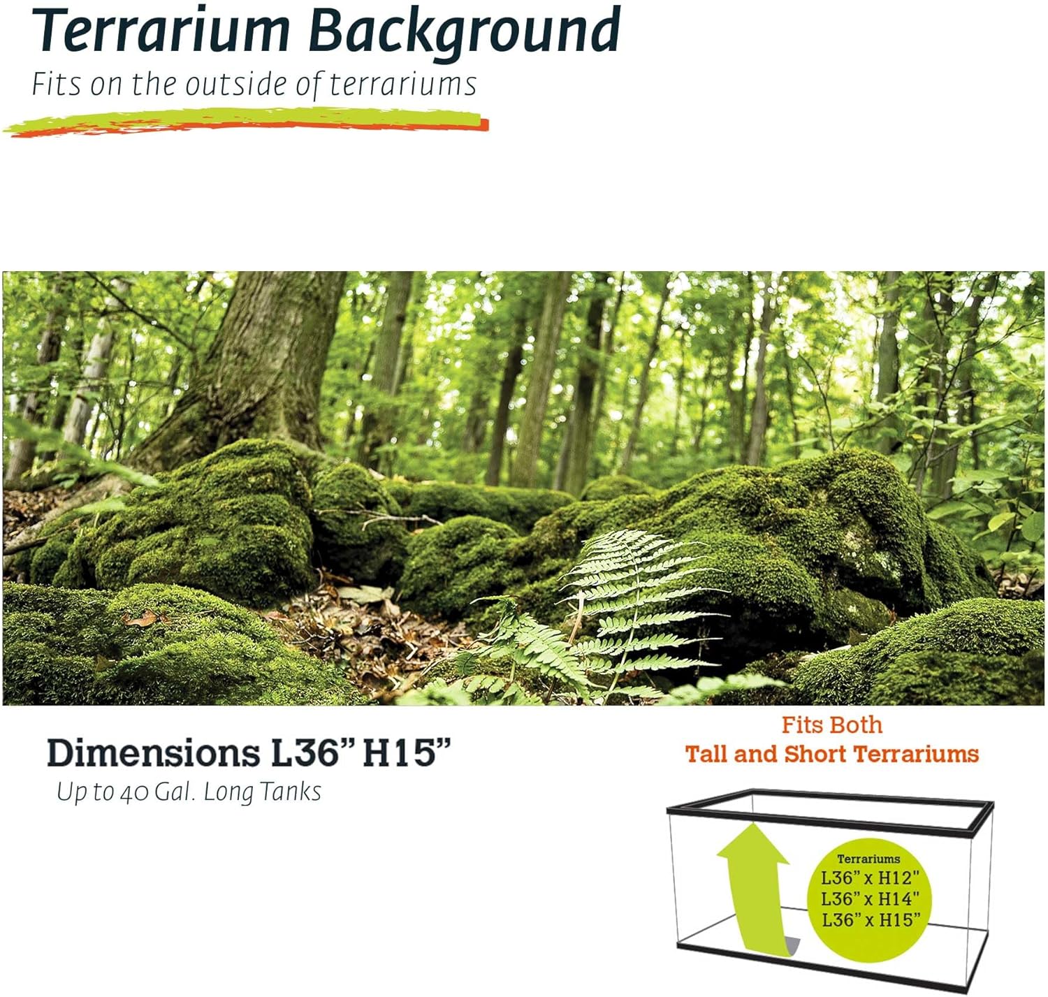 Galápagos (05421) Terrarium Cling | Hi-Resolution Aquarium & Reptile Tank Backdrop | Static Vinyl Clings for Bearded Dragon, Gecko, Turtle, Snake, and Lizard Enclosures, 15" x 36", Forest