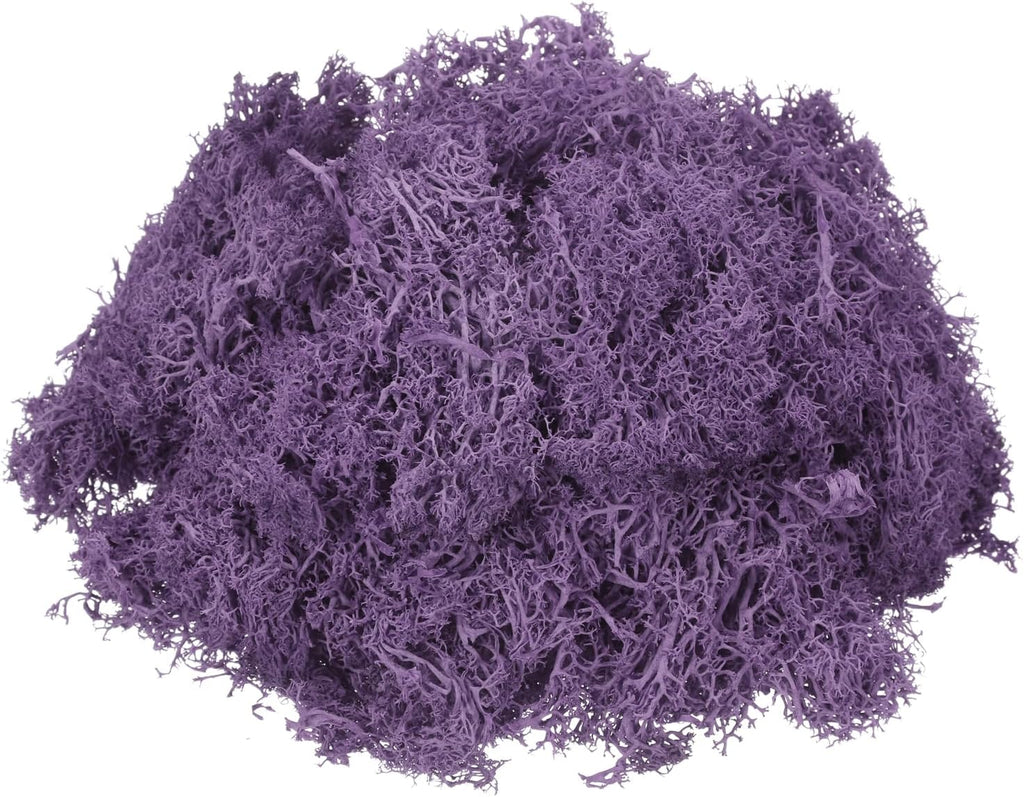 MECCANIXITY 4.6oz Preserved Reindeer Moss, Dark Purple Decorative Artificial Fake Moss for Potted Plants Indoor Crafts Lichen Centerpieces Decor