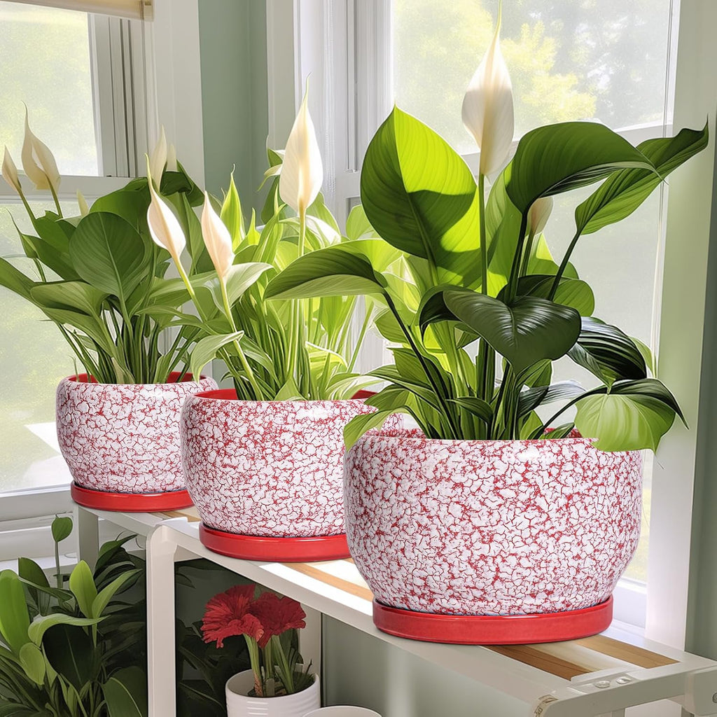 SQOWL 6 Inch Plant Pot - Ceramic Planter for Indoor Outdoor, Round Decorative Plant Pot with Drainage Hole and Saucer, Small Flower Planter, Home Balcony Decor, Gifts for Women Men, Red and White