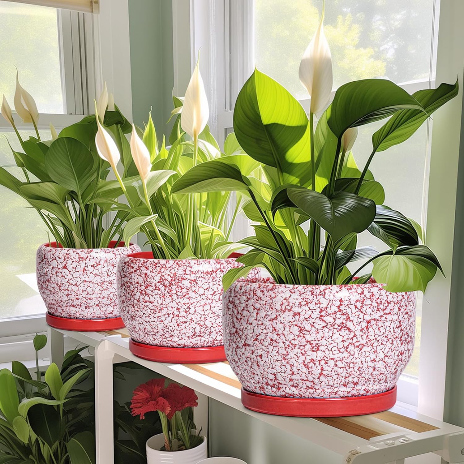 SQOWL Ceramic Pots for Plants - 8 inch Indoor Planter with Drainage Hole and Tray, Ceramic Flower Pot Outdoor, Round Decorative Planter, Bedroom Decor, Gifts for Plant Lovers, Red and White