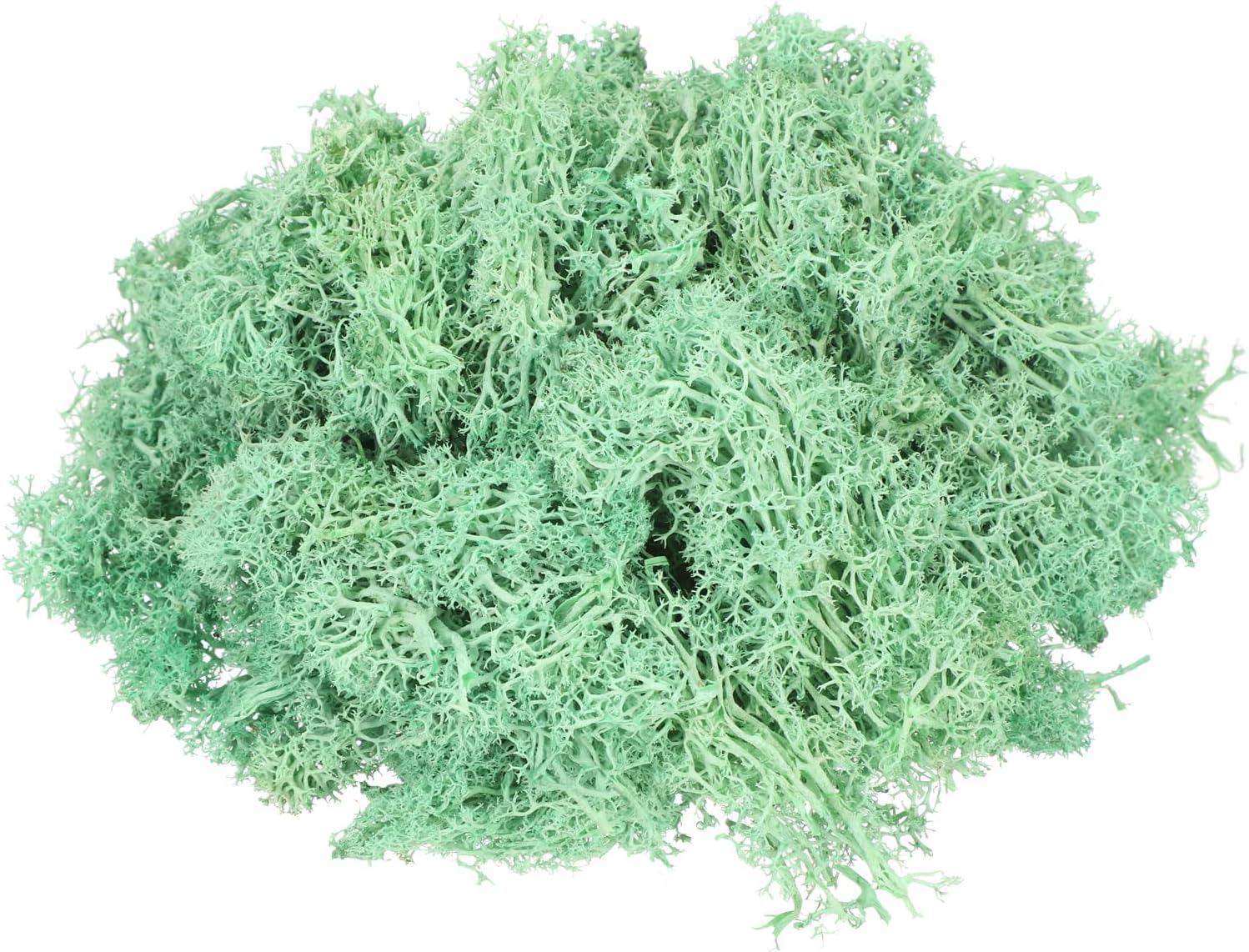 MECCANIXITY 3oz Preserved Reindeer Moss, Green Decorative Artificial Fake Moss for Potted Plants Indoor Crafts Lichen Centerpieces Decor