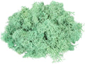 MECCANIXITY 4.6oz Preserved Reindeer Moss, Green Decorative Artificial Fake Moss for Potted Plants Indoor Crafts Lichen Centerpieces Decor
