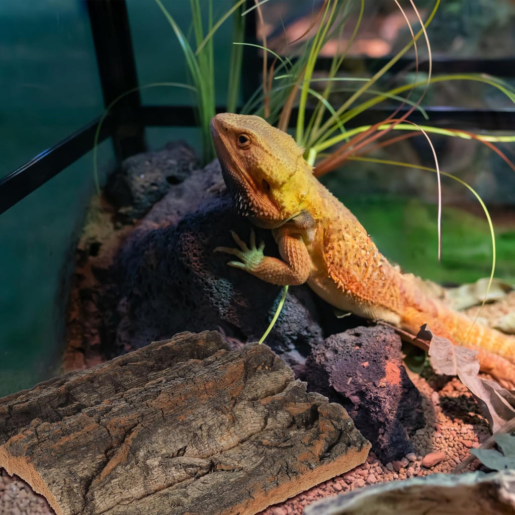 Reptile Cork Bark Tank Decor 4 Pieces Natural Cork Background for Gecko Lizard Frog Bearded Dragon Aquarium Terrarium Climbing Mat