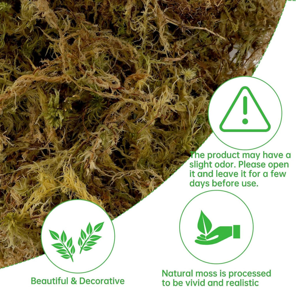 YUNVI 17.6 OZ Large Capacity Artificial Moss for Potted Plants,Natural Fake Moss Grass for Plants Indoor,Craft and Greenery Bulk for Hamsters(Fresh Green)