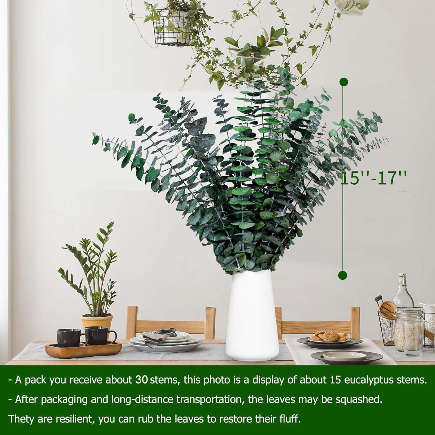 30 Pcs Dried Eucalyptus Stems for Shower, 17'' Natural Real Preserved Eucalyptus Leaves Branches Hanging, Dried Plant Bundle for Home SPA Bathroom Wedding Wall Vase Decor, Bath Essentials