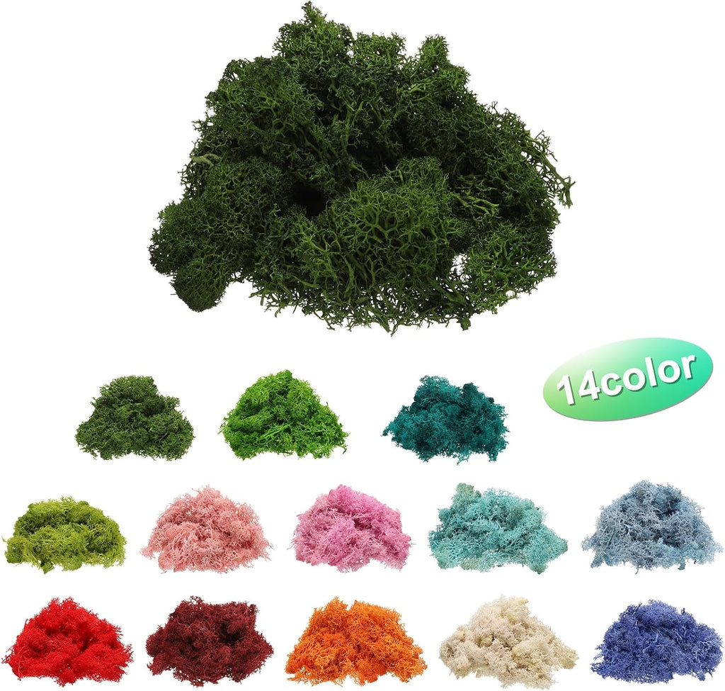 uxcell Preserved Reindeer Moss, 4 OZ Fake Moss for Crafts Artificial Dried Moss for Decoration, Craft, Terrariums, Potted Plants, Centerpieces Fairy Gardens (Dark Green)