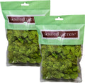 Quality Growers - Preserved Reindeer Moss - Moss for Crafts, Home Decor, Art, Design & DIY Projects - Non-Toxic - USA Made (Chartreuse, Small, 2-Pack)