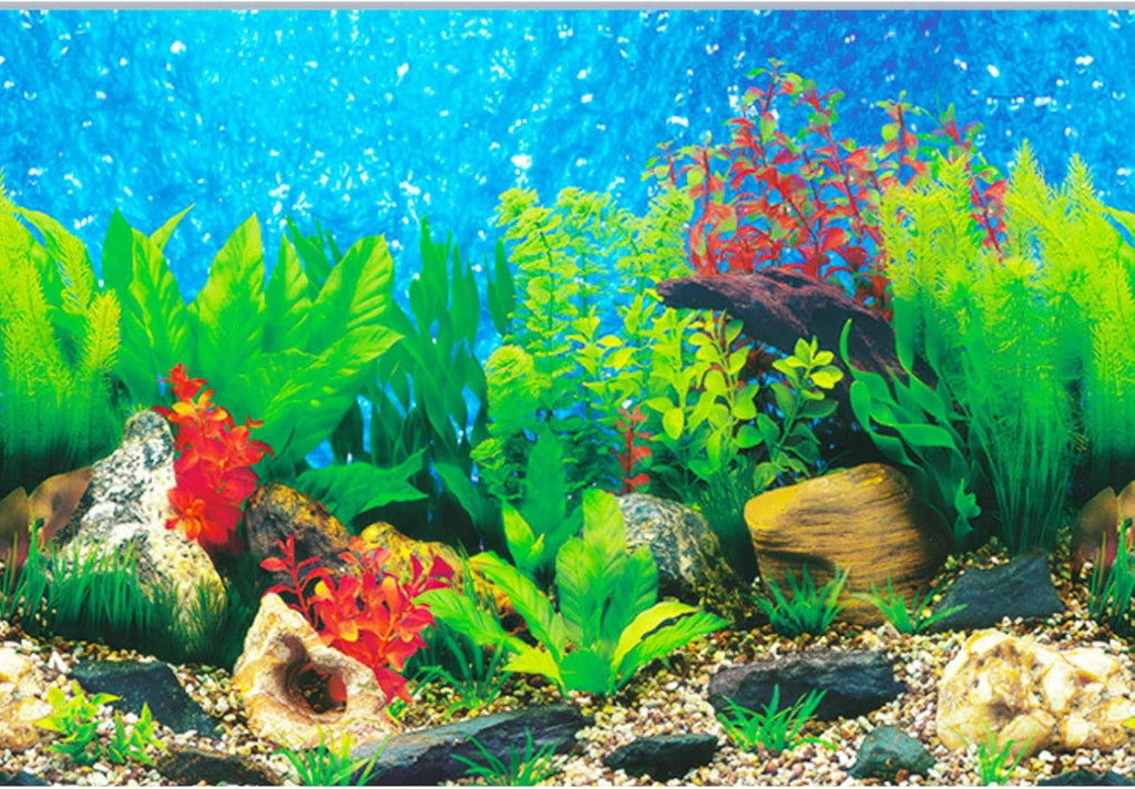 ELEBOX New 20" x 48" Fish Tank Background 2 Sided River Bed & Lake Background Aquarium