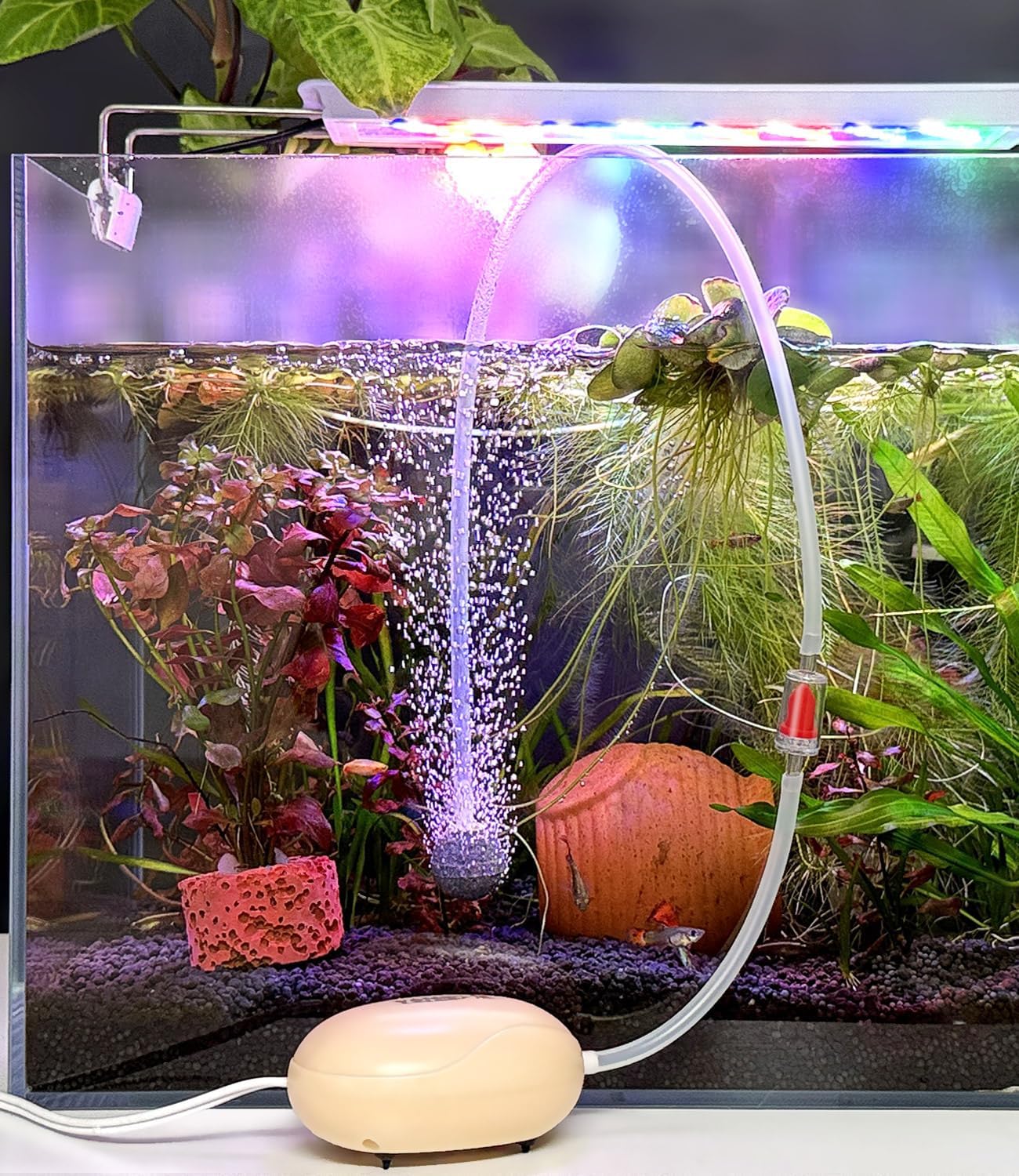 FEDOUR Mini Aquarium Air Pump, Quiet Fish Tank Oxygen Pump with Single Outlet, Aquarium Air Bubbler with Complete Accessories for up to 20gallon Fish Tanks, Betta Tanks, Shrimp Tanks