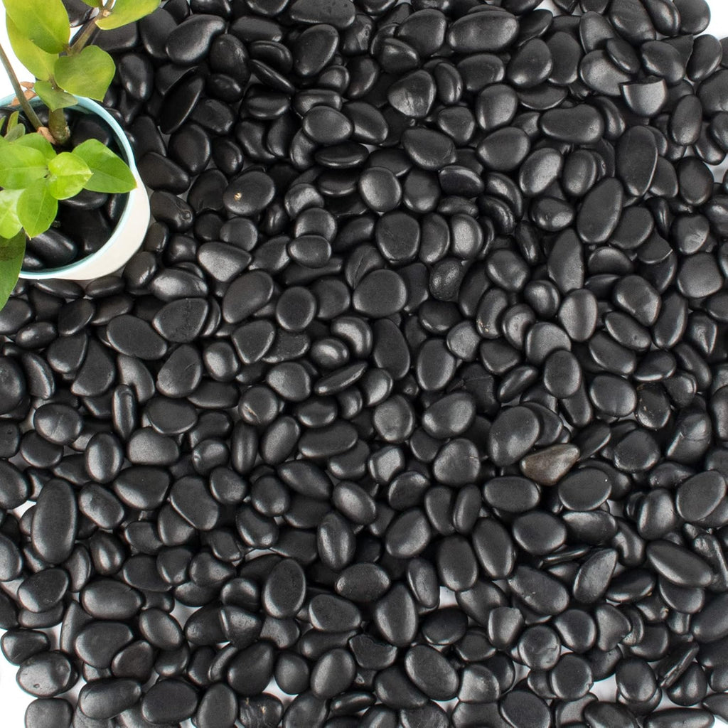 18 lb 1" Natural Polished Black River Rock for Plants,Aquarium,Vase,Garden Landscape Rocks and Outdoor Decorative Stones