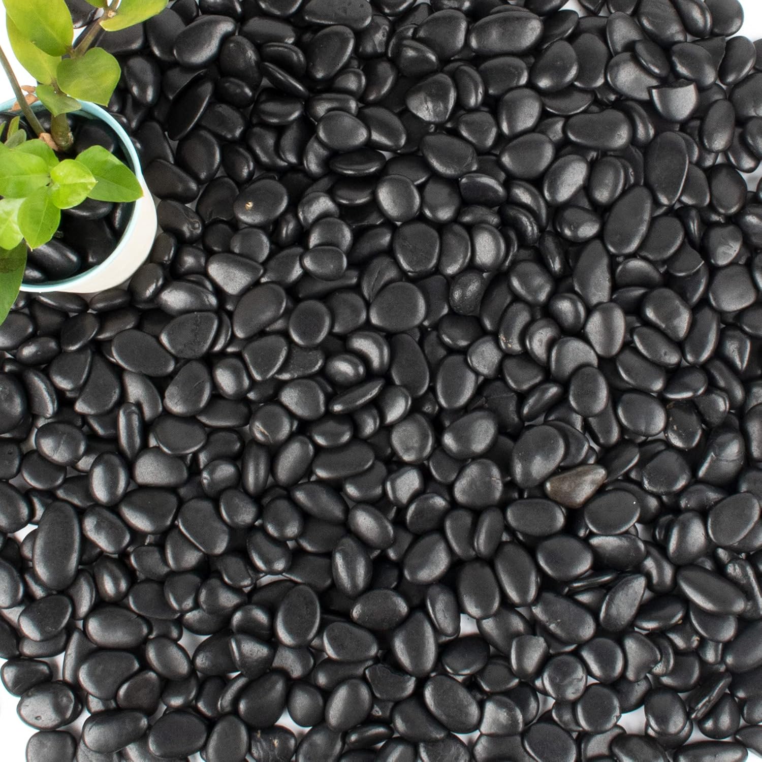 18 lb 1" Natural Polished Black River Rock for Plants,Aquarium,Vase,Garden Landscape Rocks and Outdoor Decorative Stones