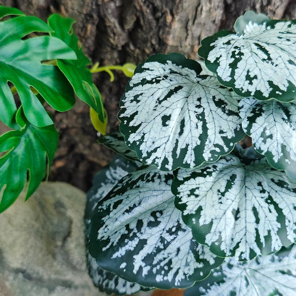 Woyrise Reptile Artificial Plants for Terrarium Decor, Amphibian Habitat Decorations Bearded Dragon Tank Accessories fit Crested Gecko Leopard Lizard Chameleon Snake Frog - Fake Spots Heuchera