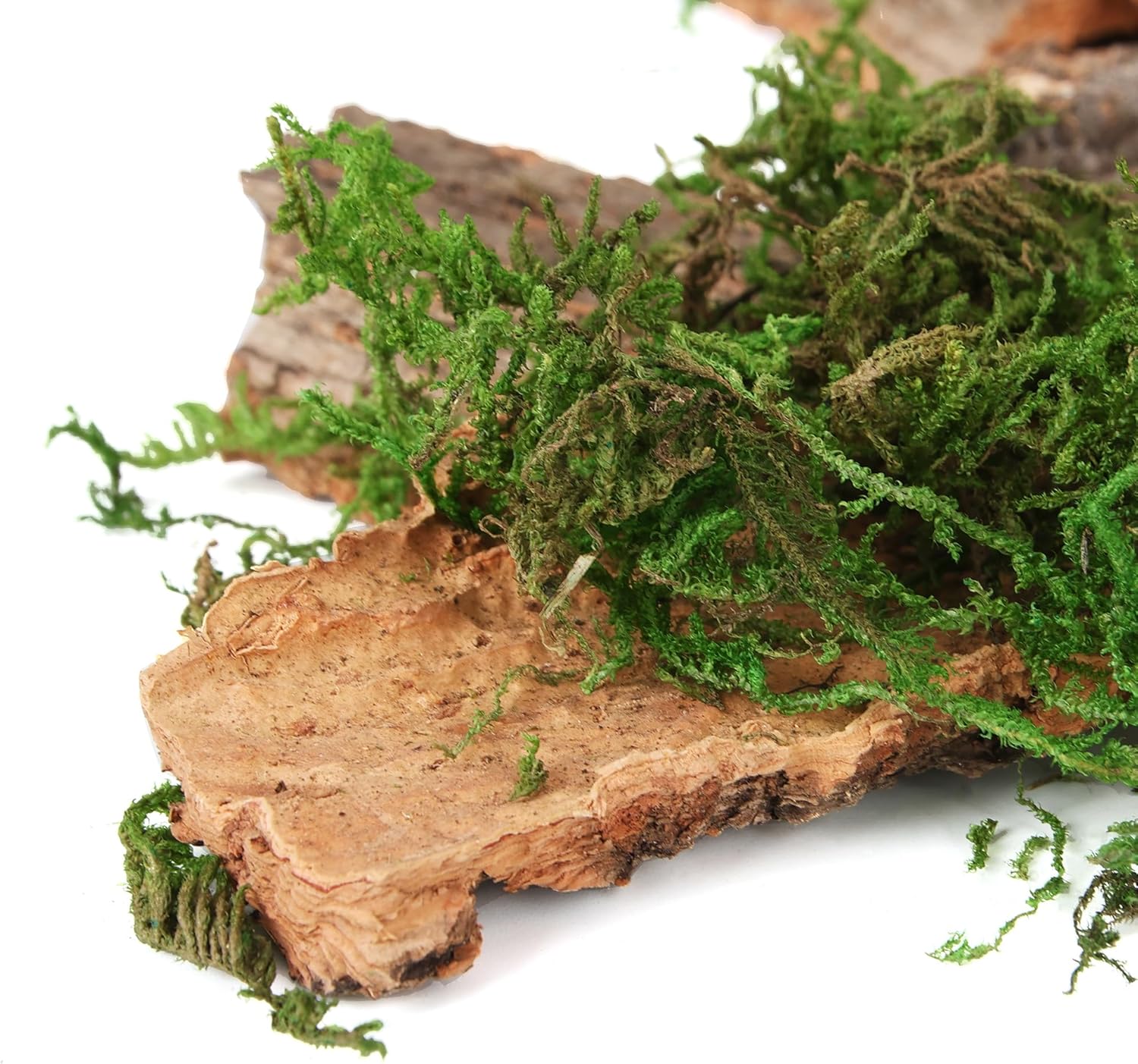 BYHER Fake Moss for Crafts, Assorted Treebark Fairy Garden Accessories Green Moss for Decorating, Tree Bark for Crafts, Terrarium, Floral Arrangements (Forest Green)