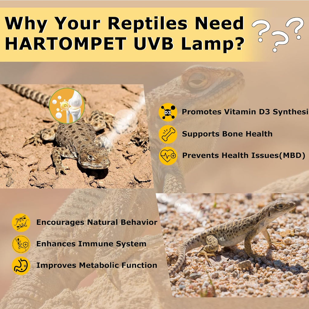 UVB 10.0 Reptile Light 26W, Compact Coil Desert Bulb for Bearded Dragons, Lizards, Snakes, Geckos, Amphibians, UVA UVB Lamp for Pet Terrarium & Reptile Habitat Tank