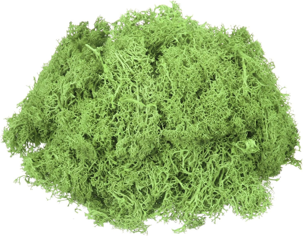 MECCANIXITY 4.6oz Preserved Reindeer Moss, Grass Green Decorative Artificial Fake Moss for Potted Plants Indoor Crafts Lichen Centerpieces Decor