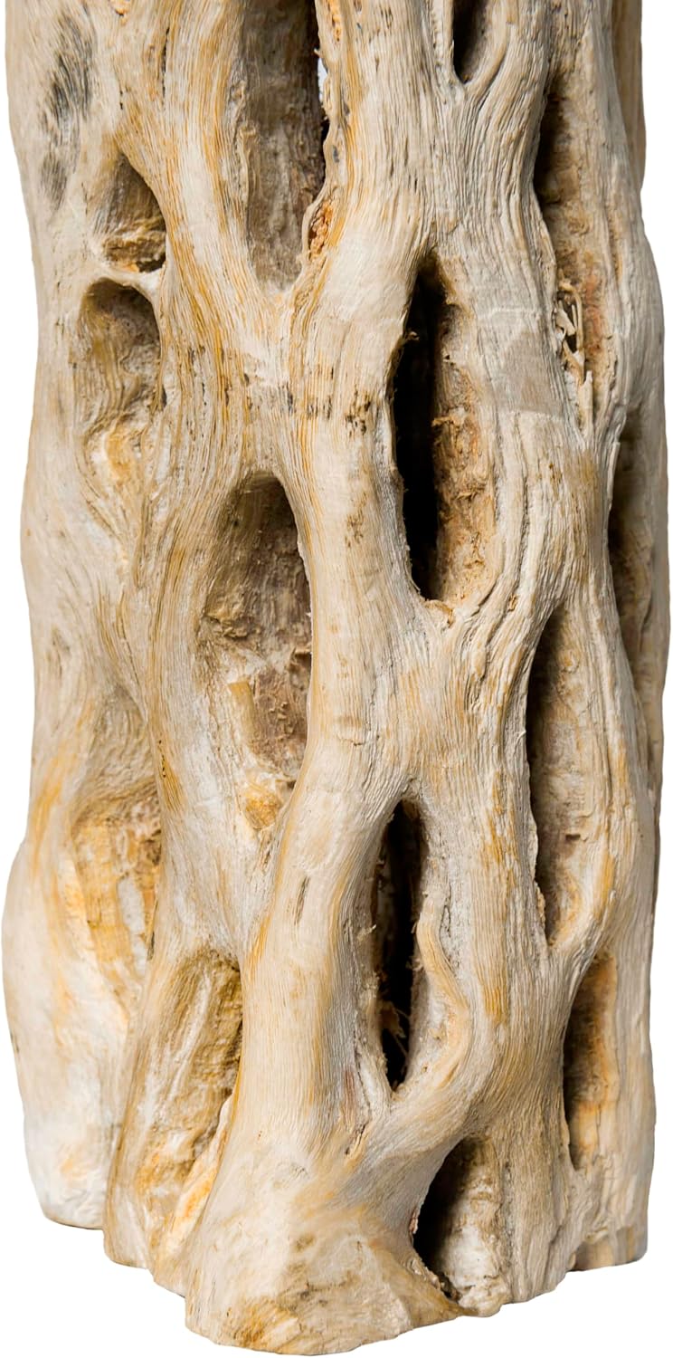 Galapagos 05270 Cholla Wood for Aquarium ,(pack of 3)