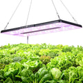 22" x 10" Grow Lights for Indoor Plants and Vegetables, Full Spectrum LED Growing Lamp for Indoor Garden Greenhouse - Features Two Smart Light Mode, 12~23H Timer - 1 Pack (1 Pack Black)