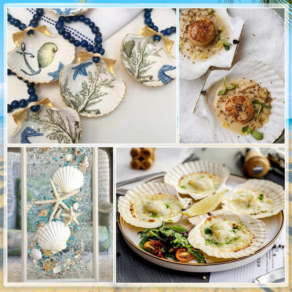 18PCS White Large Scallop Purely Natural Seashells 4-5in and Medium Shells 2-3in for Crafting, Scallop Shells Bulk for Beach Wedding Decorations, Ocean Seashell Party Decorations, Cooking or Painting