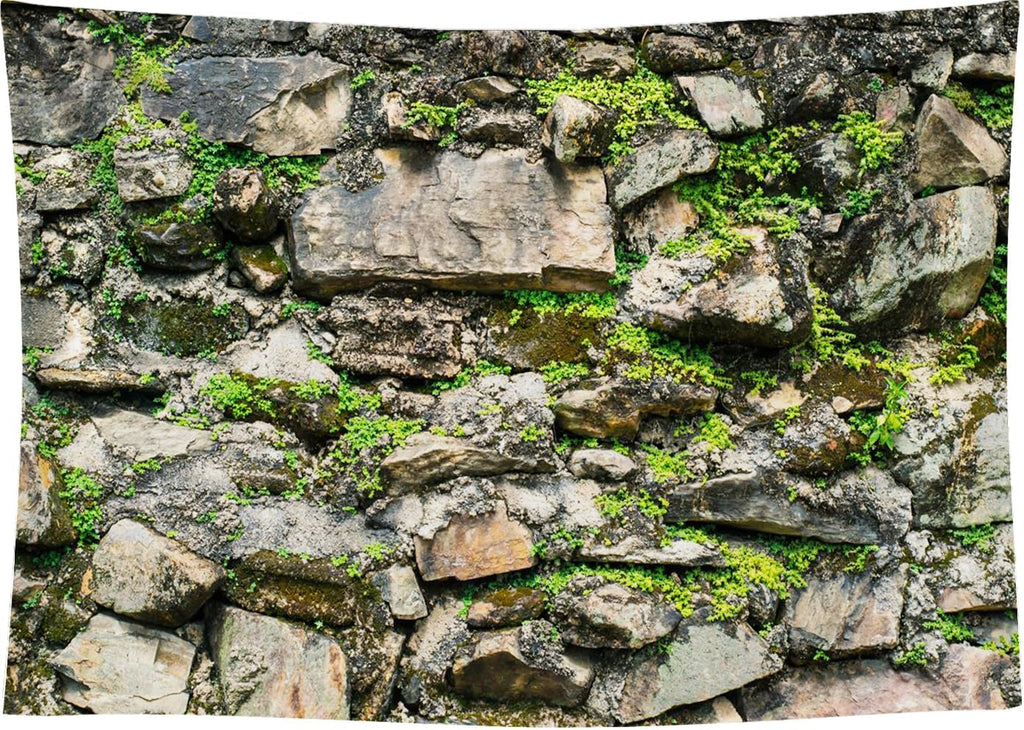 CapiSco Vintage Stone Wall Backdrop 7x5FT Overgrown Wall Ancient Rock Wall Textured Background Birthday Party Themed Events Decorations Banner Kids Adults Portrait Photo Shoot Props