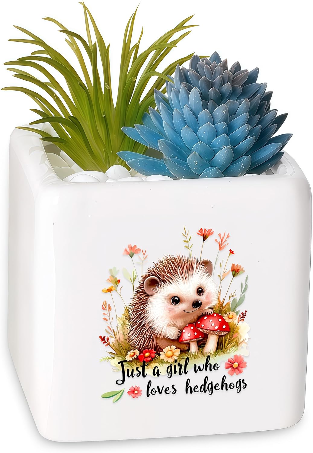 Hedgehog Succulent Planter Flower Plant Pot Small, Gifts for Women Teens Girls Kids, Hedgehog Lovers Themed Stuff Accessories Things Decor Merch, Home Office Table Desk Decoration!
