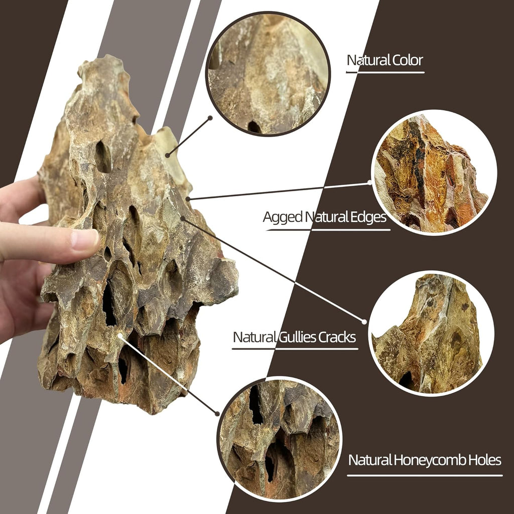 7/12 Pounds Natural Stream Slab Stones,Dragon-Rock Stone,Seiryu Stones Perfect for Aquariums,Fish Tanks,Terrariums,Landscaping Model,Reptile Rest Rock (Dragon-Rock Stones, 12 LB)