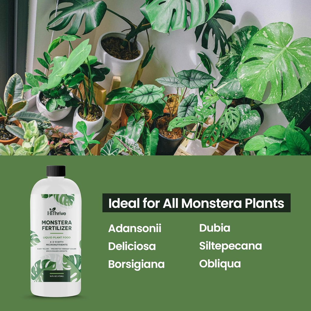 16oz Monstera Plant Food - Makes 96 Gallons of Monstera Fertilizer, Liquid Indoor Plant Fertilizer for Obliqua, Deliciosa and More, 6-2-4 NPK Ratio for Houseplants’ Healthy Growth & Glossy Leaves