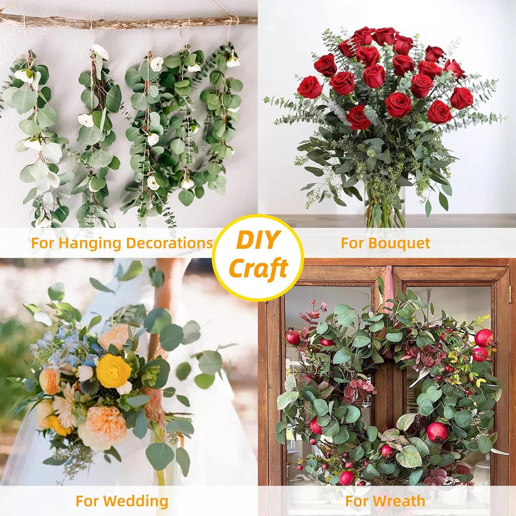 32 Pcs Large Dried Eucalyptus & Silver Dollar Leaves Bundle - 100% Natural Real Fresh Plants, 17" Preserved Eucalyptus Stems for Shower Hanging, Bathroom Decor, Garland, Greenery Plant (32)