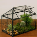 HighFree Geometric Terrarium Planter with Swing Lid, House Shape Black Handmade Glass Box, Vintage Tabletop Miniature Terrarium, for Succulent, Cacti, Air Plants (Not Watertight - 9.2x5.5x7.3 inch)