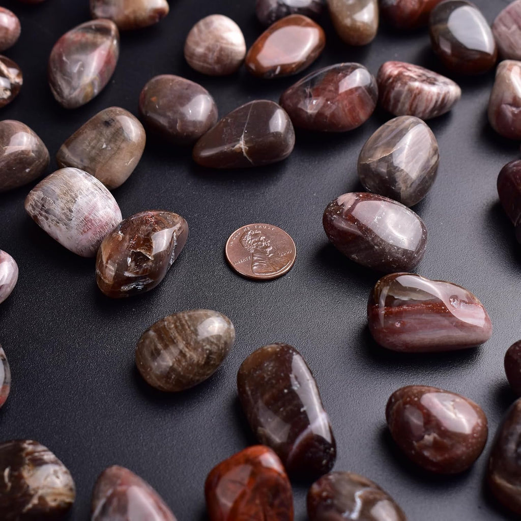 Polished Stone Set Petrified Wood Crystals, 0.8" Handpicked Tumbled Gemstones Rocks, Pebbles for Reiki, Chakra, Healing, Home Decor