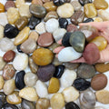2 lbs Pebbles for Plants, 1-2 inch Polished River Rocks for Plants Indoor Aquarium Terrarium, Stones for Planters Vase Landscaping and Outdoor Yard Decorative Stones