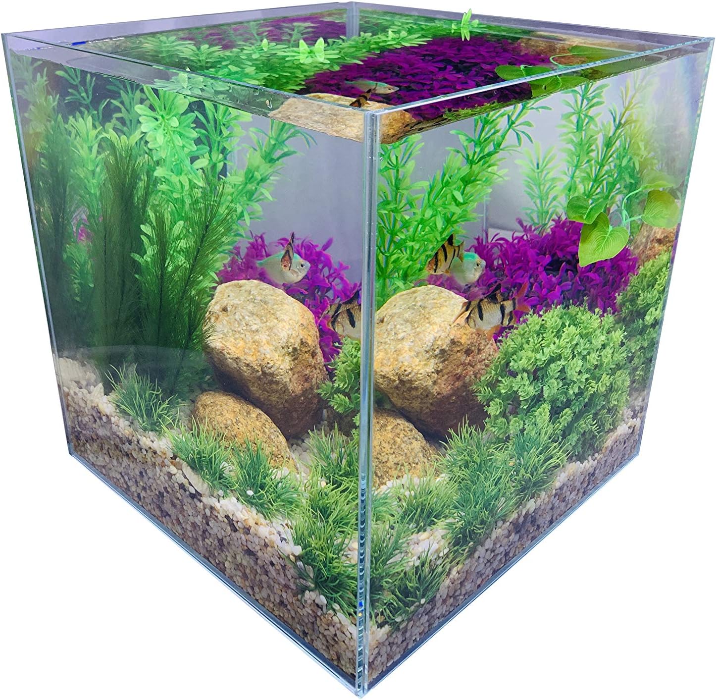 Rimless Low Iron Glass 7.1 Gallon Aquarium Tank (11.8" L × 11.8" W × 11.8" H / 30cm x 30cm x 30cm), 5mm Thickness Standard Jointed