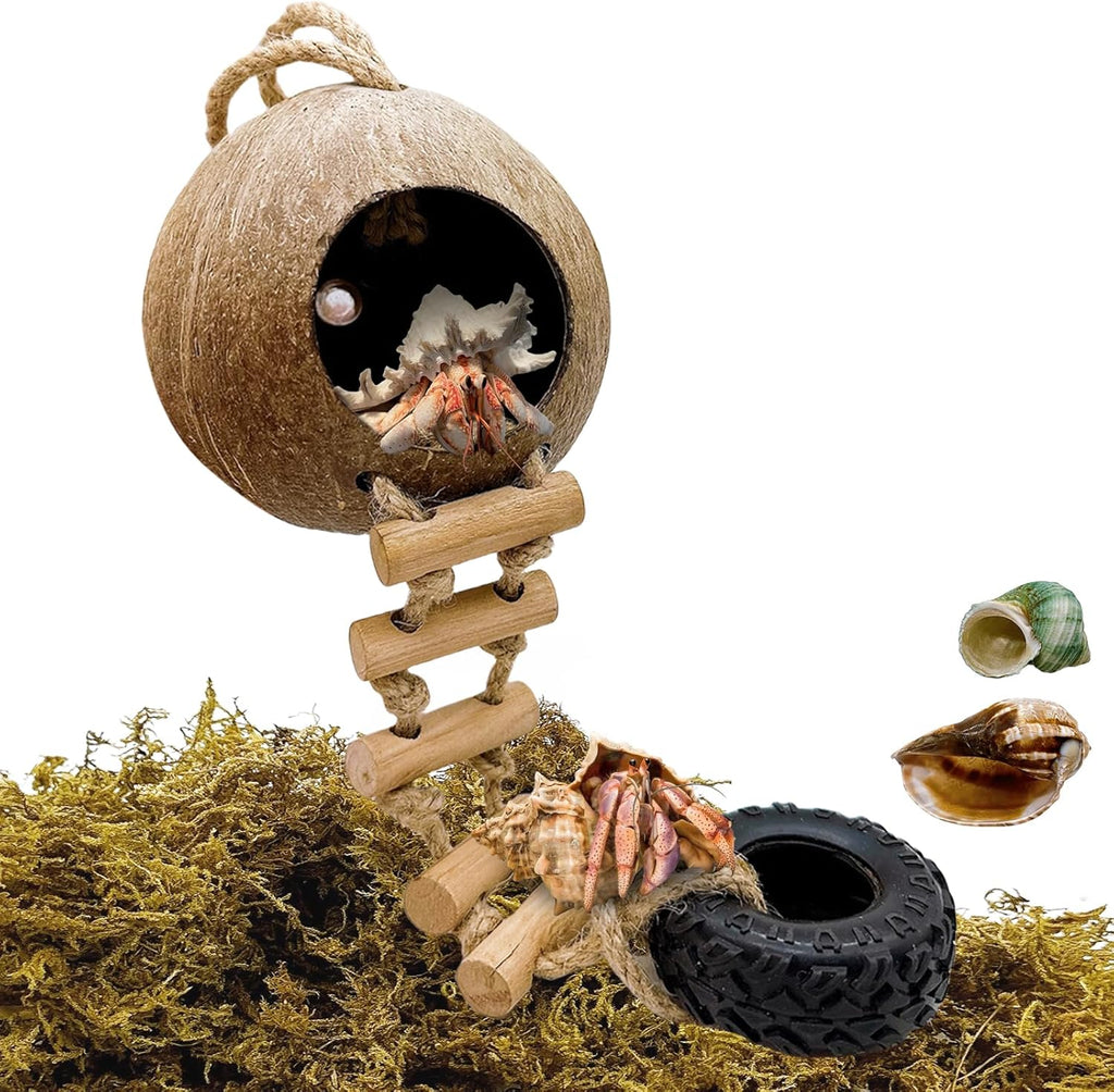Hermit Crab Coconut Shell Hideout, Leopard Gecko Hide Habitat Cave with Ladder and 2 Sea Shells, Crested Gecko Tank Accessories with Moss for Reptiles,Hermit Crab Climbing Toys,5.3",5PCS