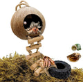 Hermit Crab Coconut Shell Hideout, Leopard Gecko Hide Habitat Cave with Ladder and 2 Sea Shells, Crested Gecko Tank Accessories with Moss for Reptiles,Hermit Crab Climbing Toys,5.3",5PCS
