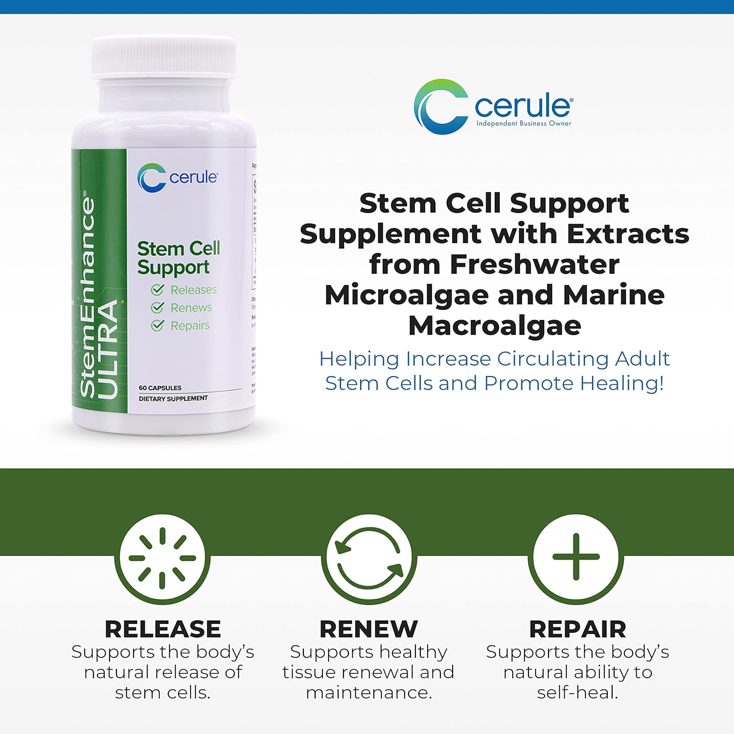 Cerule StemEnhance Ultra Natural Stem Cell Support Supplement – Freshwater Microalgae and Marine Macroalgae Extracts for Cellular Renewal, Immune Function, Energy, and Tissue Recovery – 60 Capsules