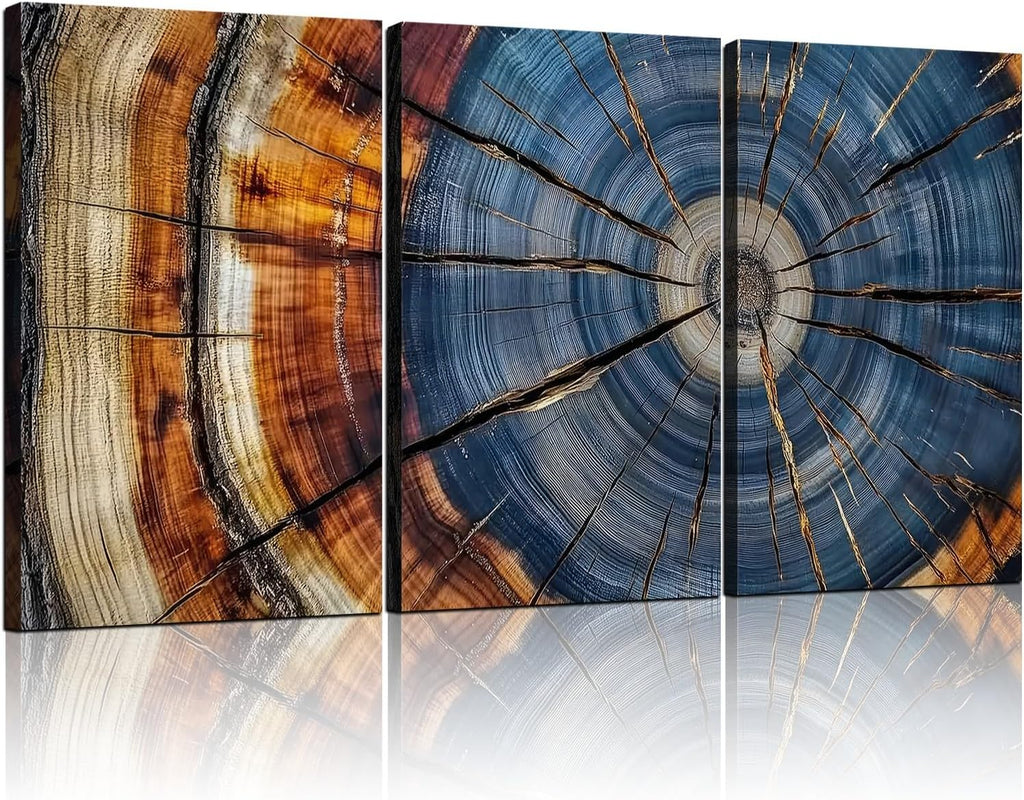 3pcs Tree Rings Abstract Wood Grain Framed Wall Art Decor Canvas Print Picture Nature Plant Modern Artwork Poster Gallery Bedroom Living Room Office 12x16 Inch Ready to Hang