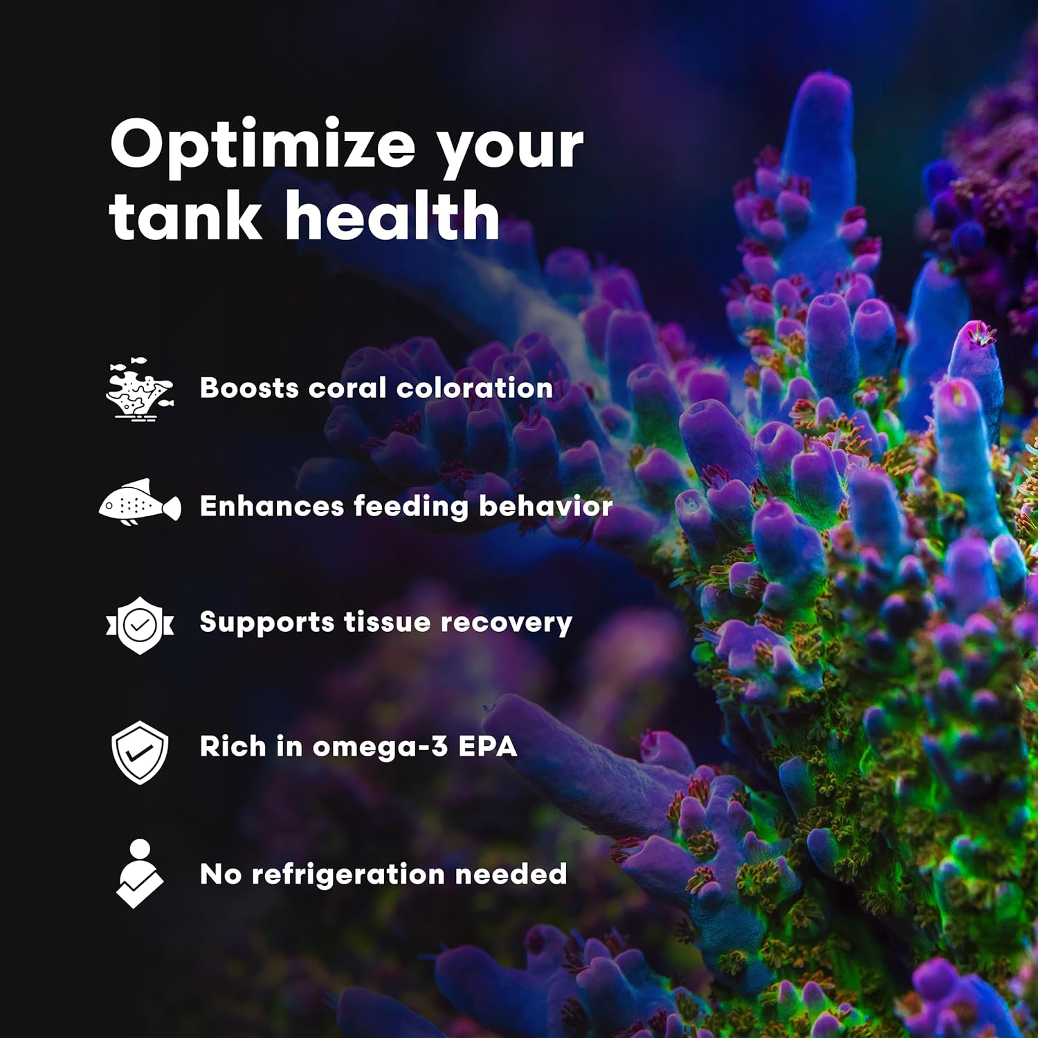 Brightwell Aquatics PhytōGreen-M Marine Phytoplankton for Reef Aquariums – Supports Corals, Sponges, Clams, Tube Worms & Filter Feeders – Amino Acids, EPA, 20L