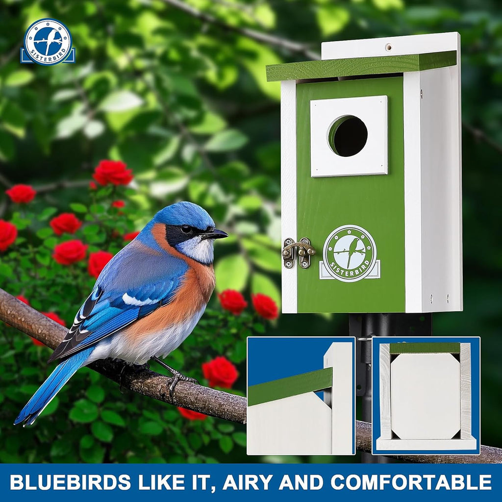 Bird Houses for Outside, Lime Green Bird House, Bluebird Houses for Outside, Garden Decoration Birdhouses for Outdoors, Bluebird Finch Swallow Wren Chickadee