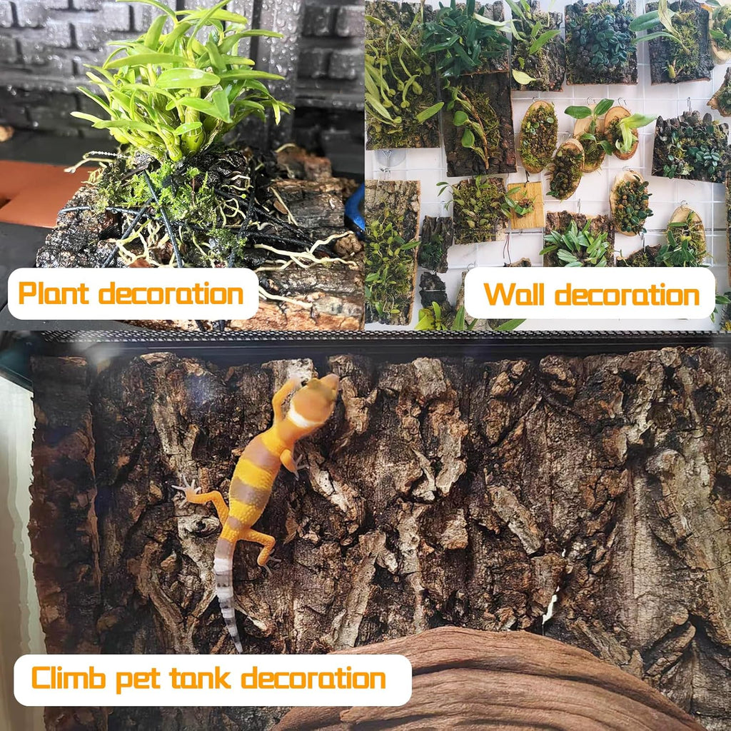 Hamiledyi 6PCS Cork Terrarium Background 15.7x11.8in Natural Large Cork Bark Backdrop Reptile Climbing Mat Tank Habitat Decor for Spider Lizard Chamelon Turtle Beared Dragon