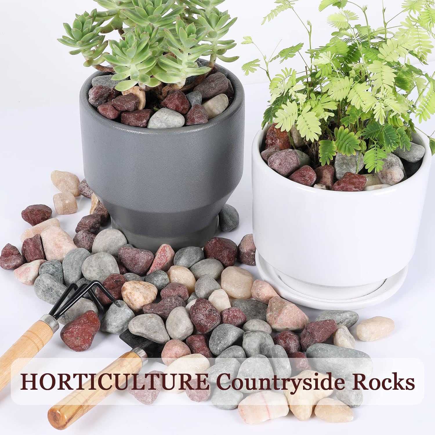 11lbs Natural River Rocks, Polished Pebbles for Plants Garden, 1-2 inch Decorative Countryside Stones, Ideal for Fish Tank, Vases, Crafting, Garden Landscaping Rocks,Countryside