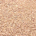 Coarse Sand. Yellow Color. 1/8 Inch 10 lbs. for Potting Soil, Succulents, Pots, Plants, Gardening, Indoor, Crafting, Vase Fillers, Landscaping (X-Mini, COARSE Sand - Yellow, 10)