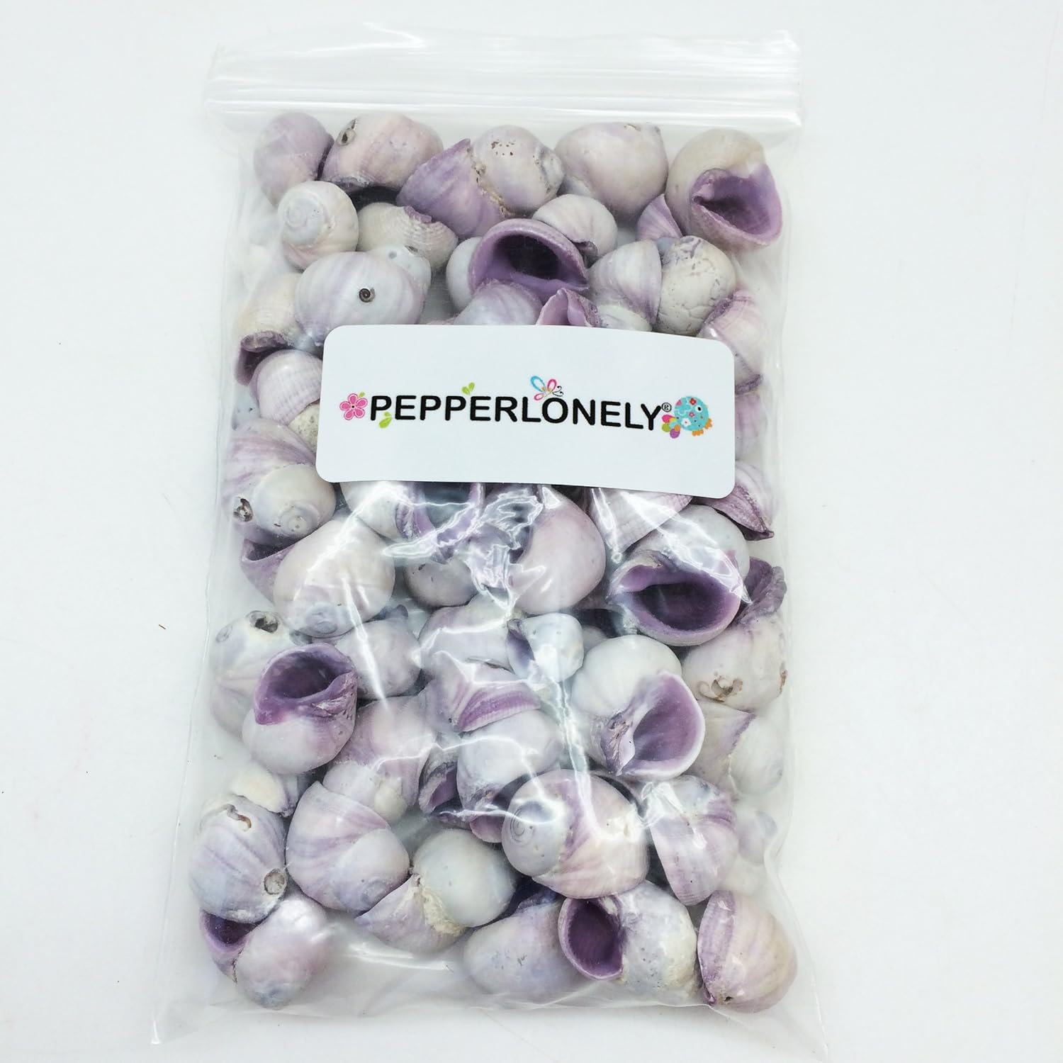 PEPPERLONELY Purple Cebu Beauty Sea Shells, 8 OZ Apprx.60+ PC Shells, 1/2 Inch ~ 1 Inch