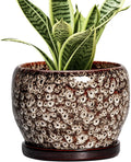 SQOWL Ceramic Plant Pots - 6 Inch Ceramic Planter for Indoor Outdoor, Small Flower Pots with Drainage Hole and Saucer, Decorative Round Planter, Home Office Decor, Plant Lover Gifts, White