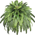 Fake Fern, 68" Large Artificial Ferns for Outdoors & Indoors, UV Resistant Faux Boston Fern Greenery with Lush Long Leaves Suitable for Planters Porch Windowsills Garden Home Decor, Hanging or Potted