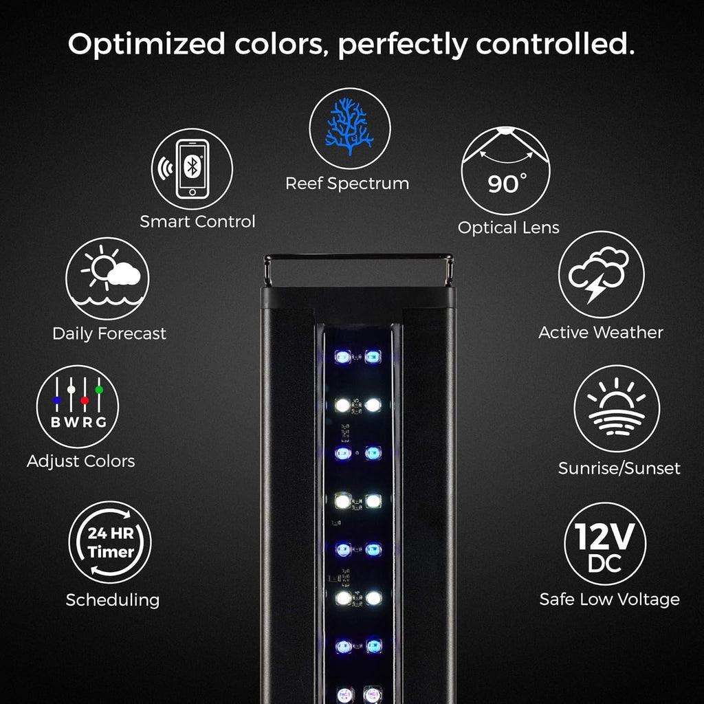 CURRENT USA 18-24" Inch Orbit Marine IC Loop LED Saltwater Reef Marine Aquarium Light with Bluetooth App Control | Wireless Lighting & eFlux Wave Pump Control for Fish Tank (4204)