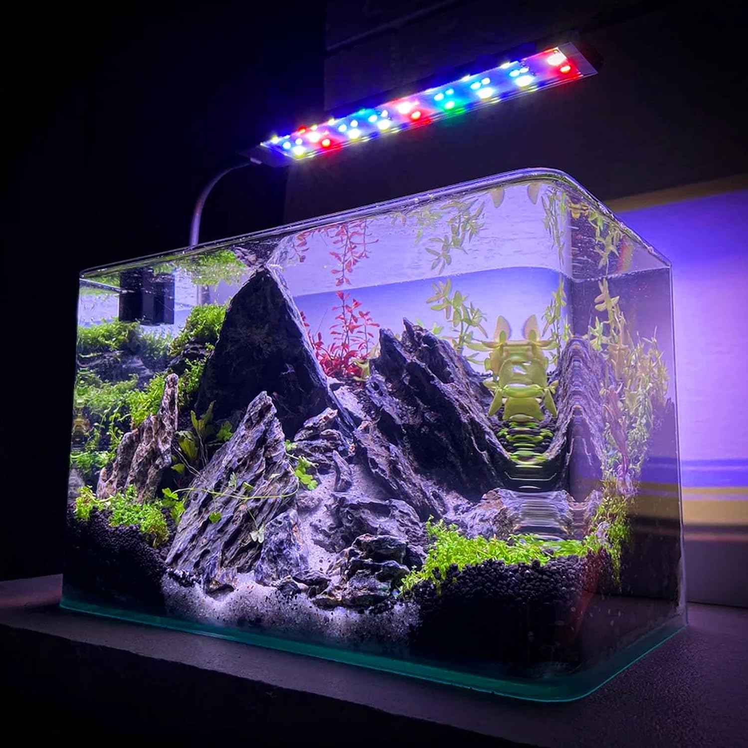 22-24 Inches Natural Seiryu Stone 1 PCS Ultra Large Aquarium Rocks for Aquascaping, Aquarium Landscaping, Terrariums, Fish Tank Decoration, Vivariums, Paludarium, Amphibian Enclosures